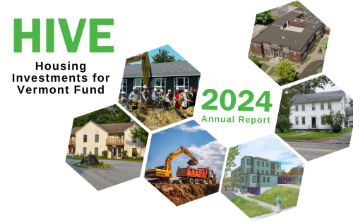 Cover page of HIVE annual report