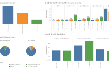 Graphs indicating different demographic characteristics of VHFA renters